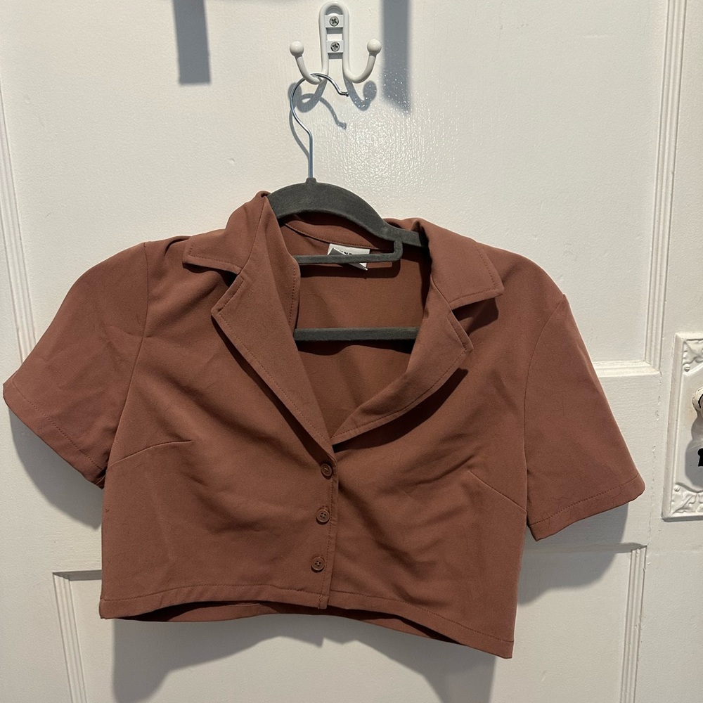 Sunday best Aritzia mauve / pink XS cropped button down